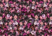 Magenta Blossom Romance carta da parati
