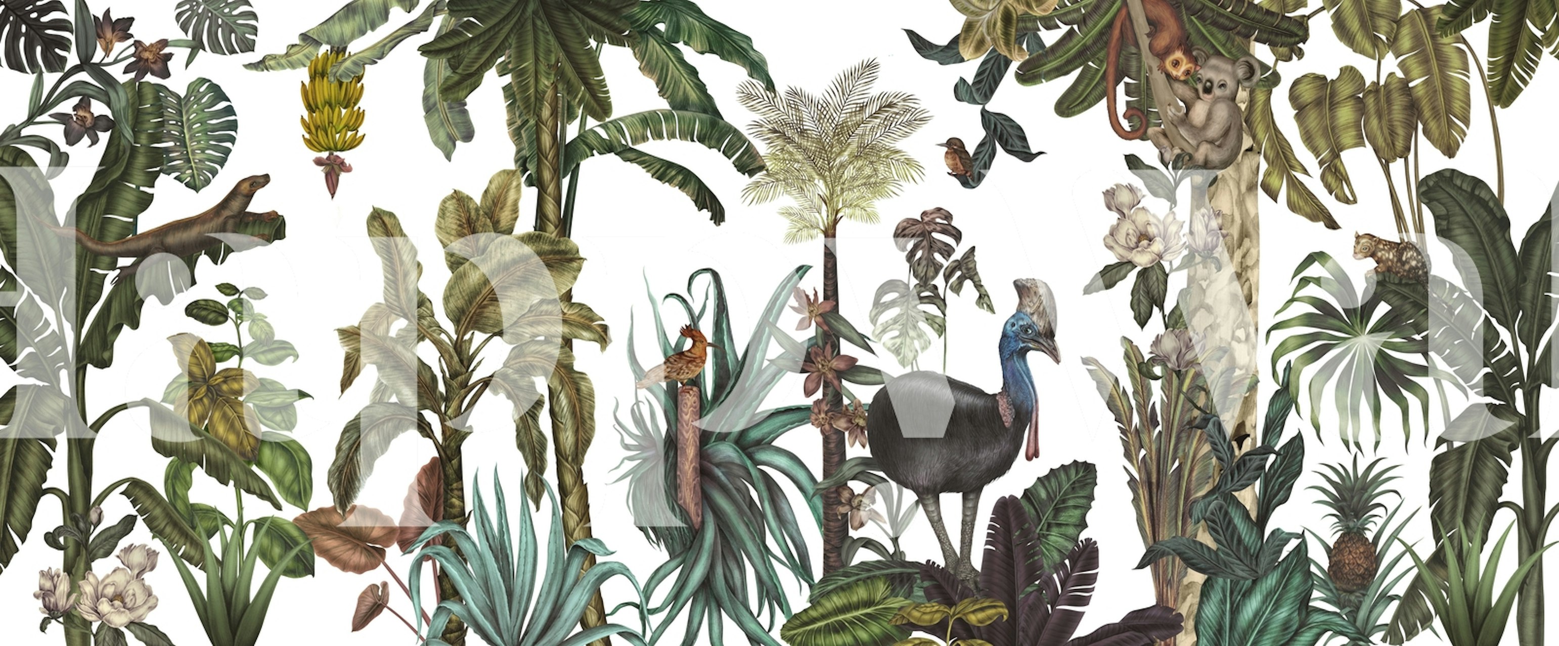 Papier peint jungle tropicale dans une pièce