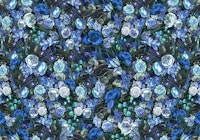 Midnight Blue Botanicals carta da parati