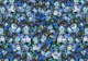 Midnight Blue Botanicals