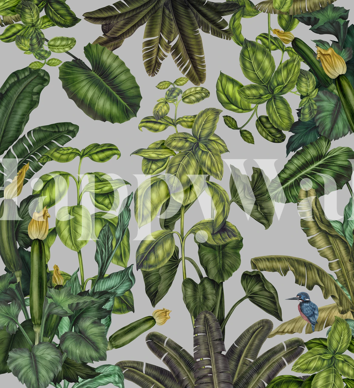 Papel de parede Zucchini plants em um quarto