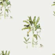 Tropical Jungle Monkeys on Light Gray