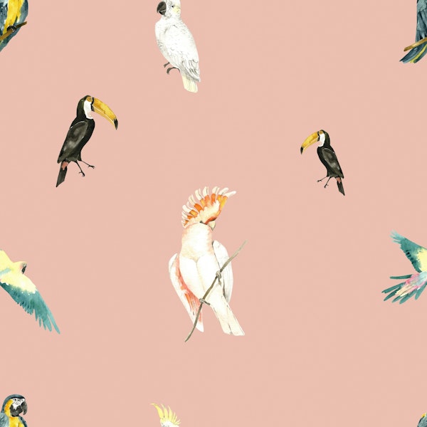 Exotic Bird Pattern – Toucan & Cockatoo