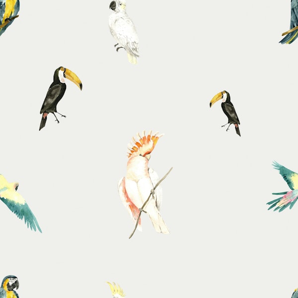 Parrots & Toucans – Tropical Watercolor