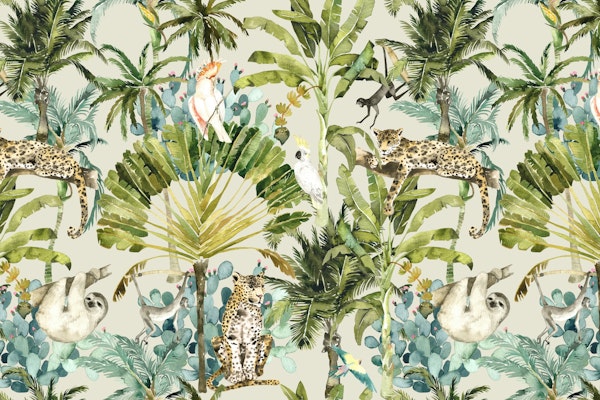 Dense Tropical Forest – Leopards & Birds