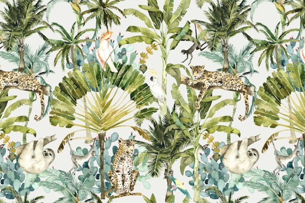 Wild Rainforest – Monkeys, Sloths & Palms