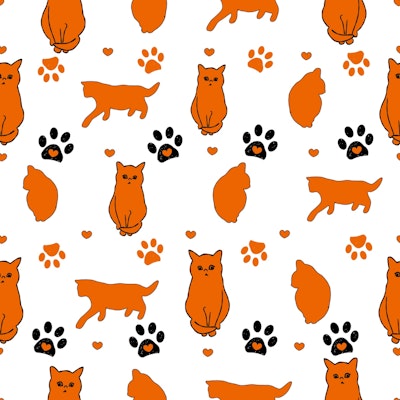 Pattern