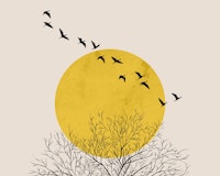 Bids at Sunrise (less distressed) tapet