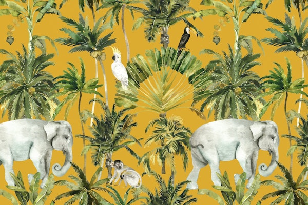Dense Tropical Forest – Elephants & Cockatoo