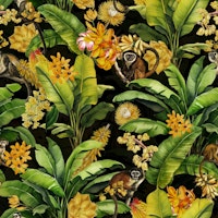 Tropical Jungle Monkeys Adventure ταπετσαρία