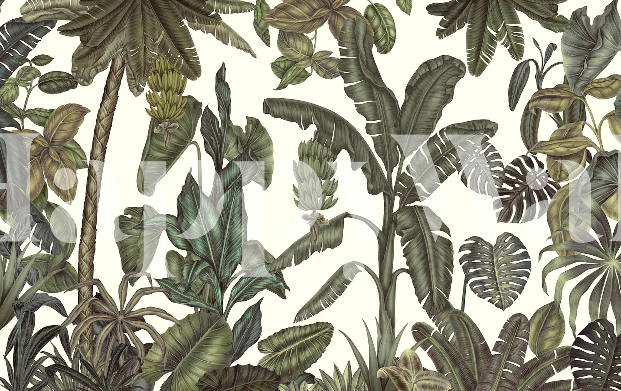 Tropical leaves in green tones with detailed textures wallpaper