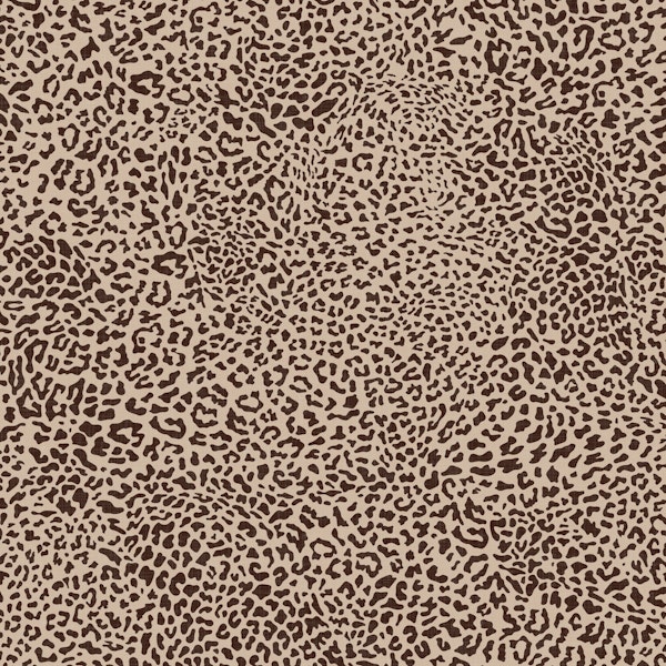 Animal Print Leopard Texture WM
