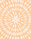 Mandala Flower 6