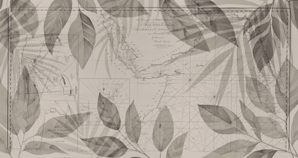 Cartography Meets Nature