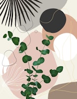 Eucalyptus Fan Palm Finesse 1 wallpaper