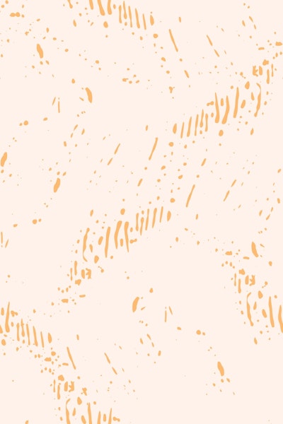 Modèle