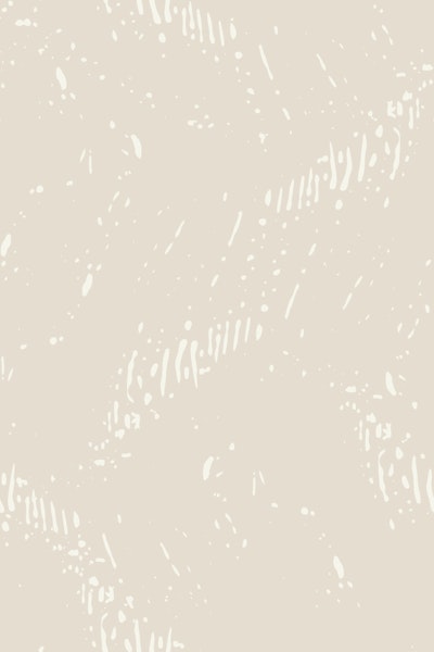 Modello