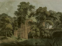 Jungle Lost Dark Emerald Forest tapet