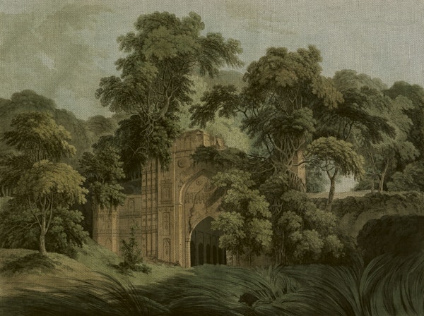 Jungle Lost Dark Emerald Forest