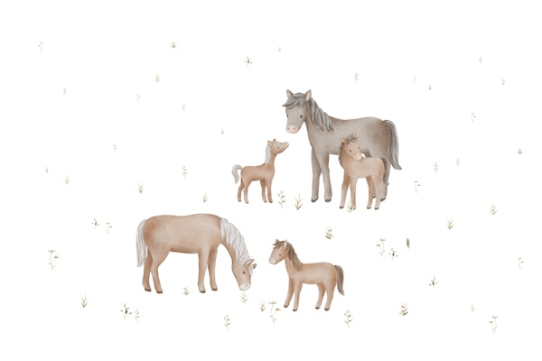 Tranquil Horse Pasture White