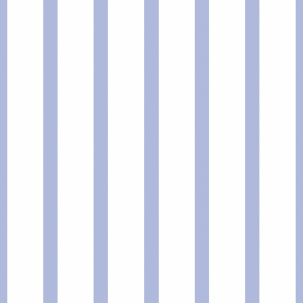 Coastal Chic - Hamptons Fine Blue Stripes