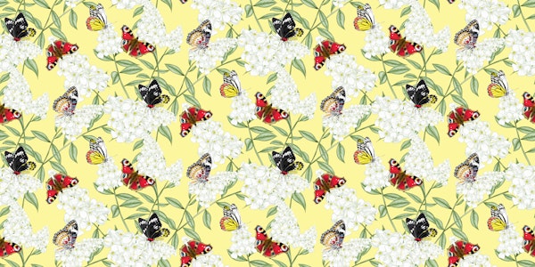 Butterflies and Blooms