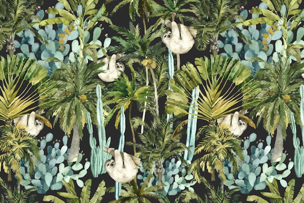 Dense Rainforest – Sloths & Cacti