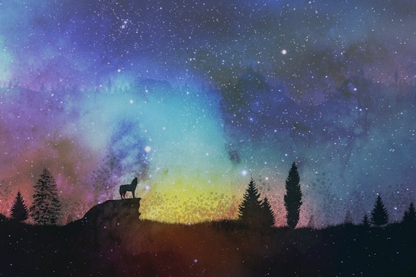 Wolf Under the Stars
