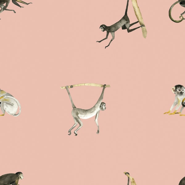 Playful Monkeys on Soft Pink