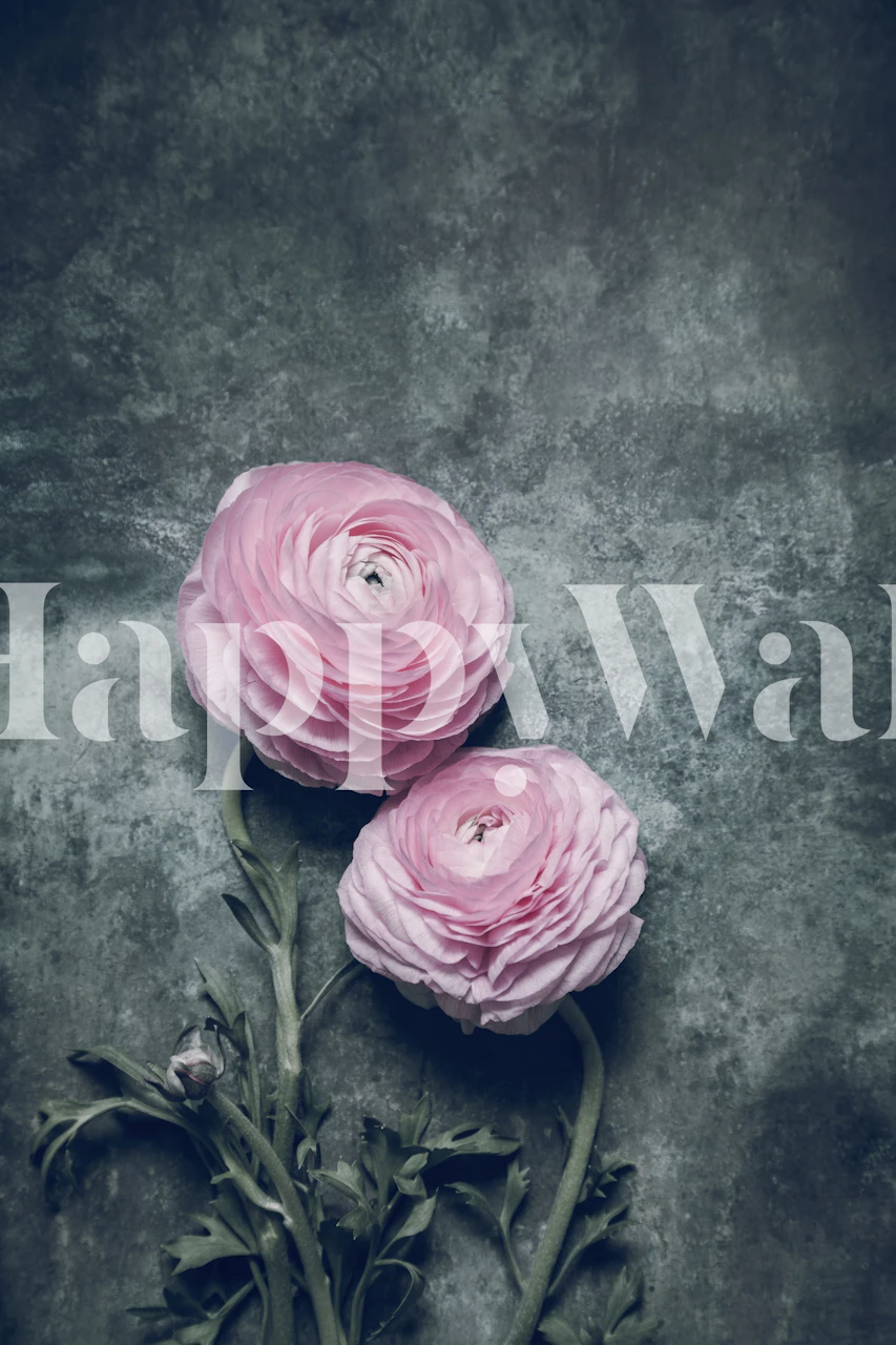 Beautiful Peonies wallpaper in a room