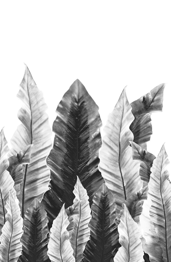 Underwater Leaves Vibes 5