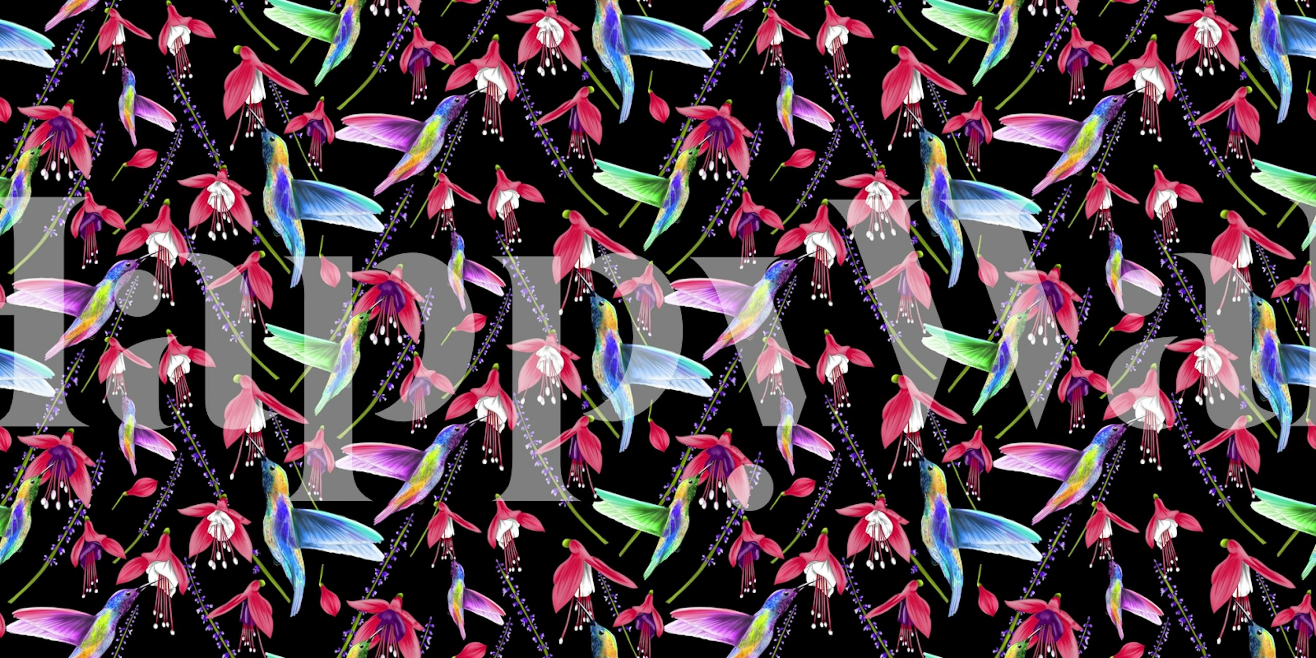 Colorful hummingbirds with fuchsia flowers on black background wallpaper