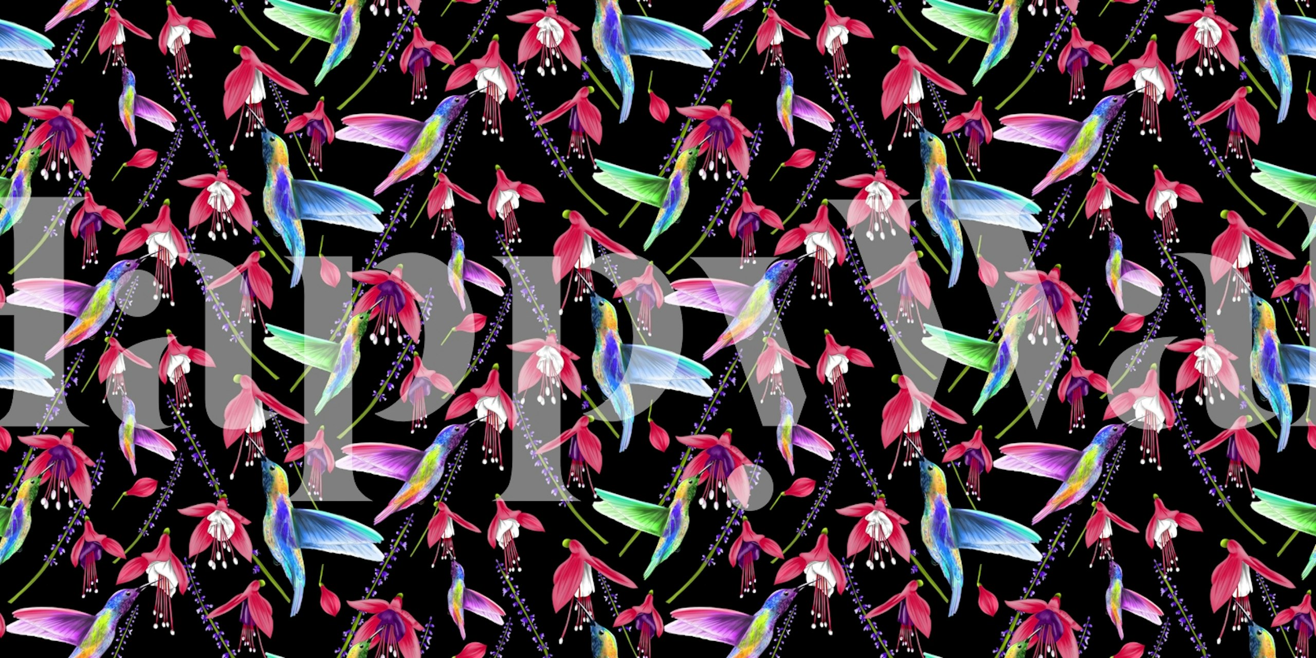 Colorful hummingbirds with fuchsia flowers on black background wallpaper