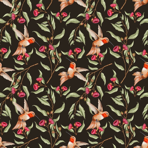 Elegant Hummingbirds