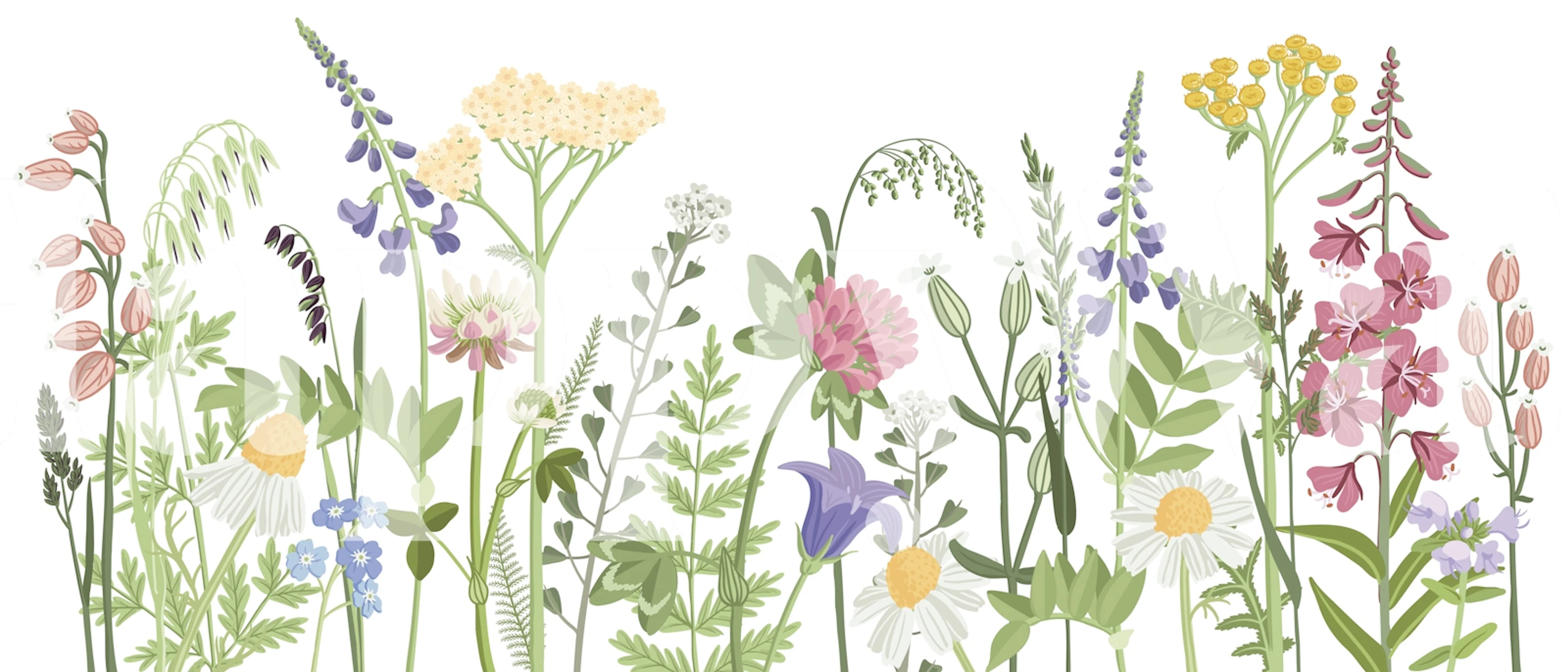 Fresh Spring Wildflowers wallpaper in una stanza