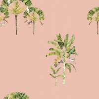 Banana Palms & Playful Jungle Monkeys papiers peint