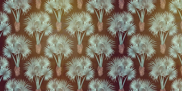 Emerald Palm Retreat