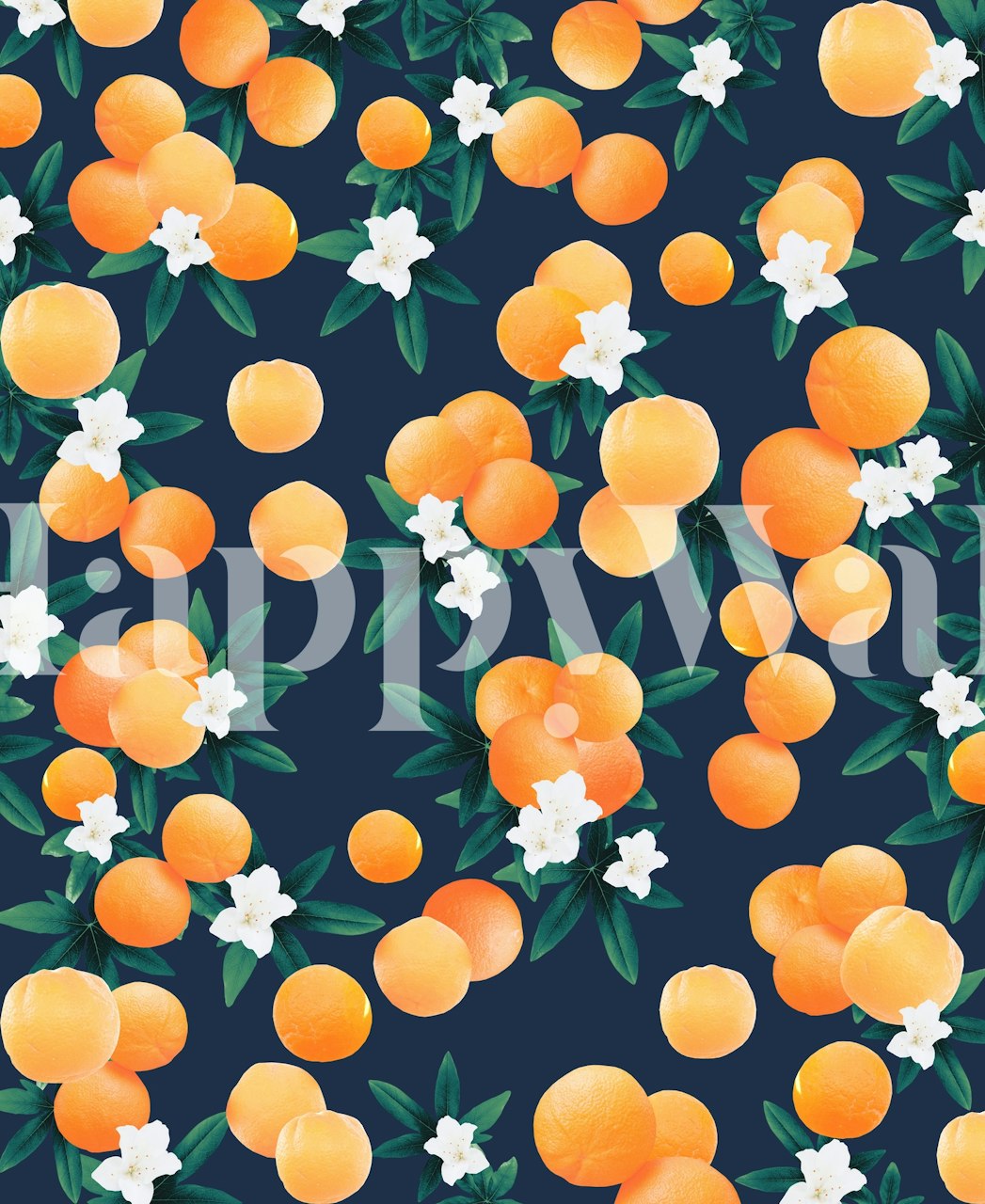 Orange flower illustration with green leaves on navy background wallpaper