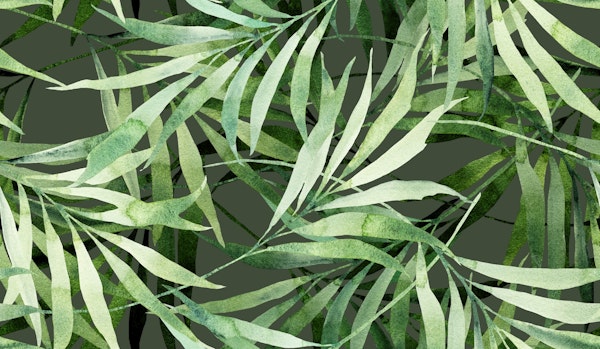 Tropical Leaves Dance Dark