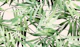Tropical Leaves Dance Pink