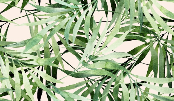 Tropical Leaves Dance Pink