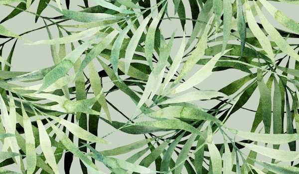 Tropical Leaves Dance Green