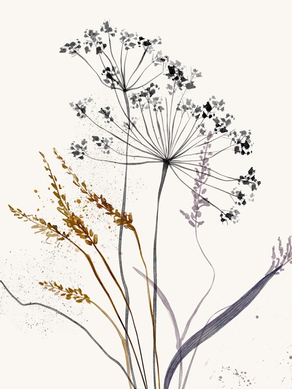 Wild Botanical Dream