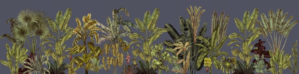 Tropical Jungle Vibes