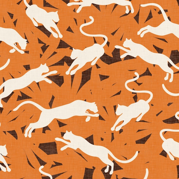 Panthers on Vintage Orange WM