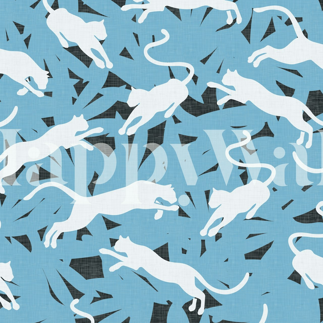 Panthers on Sky Blue WM in einem Raum