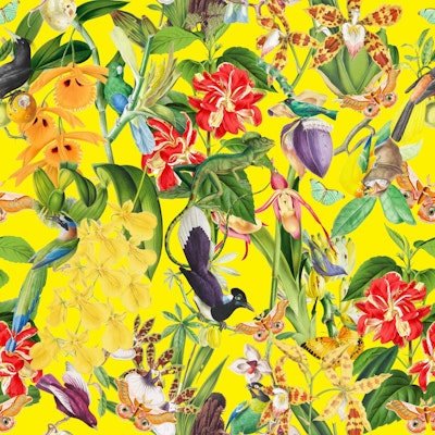 Pattern