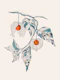 Ground Cherry