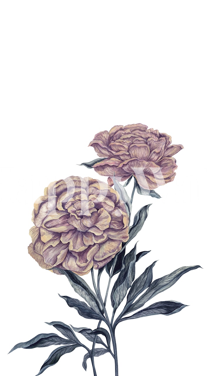 Japanese Peonies II wallpaper design