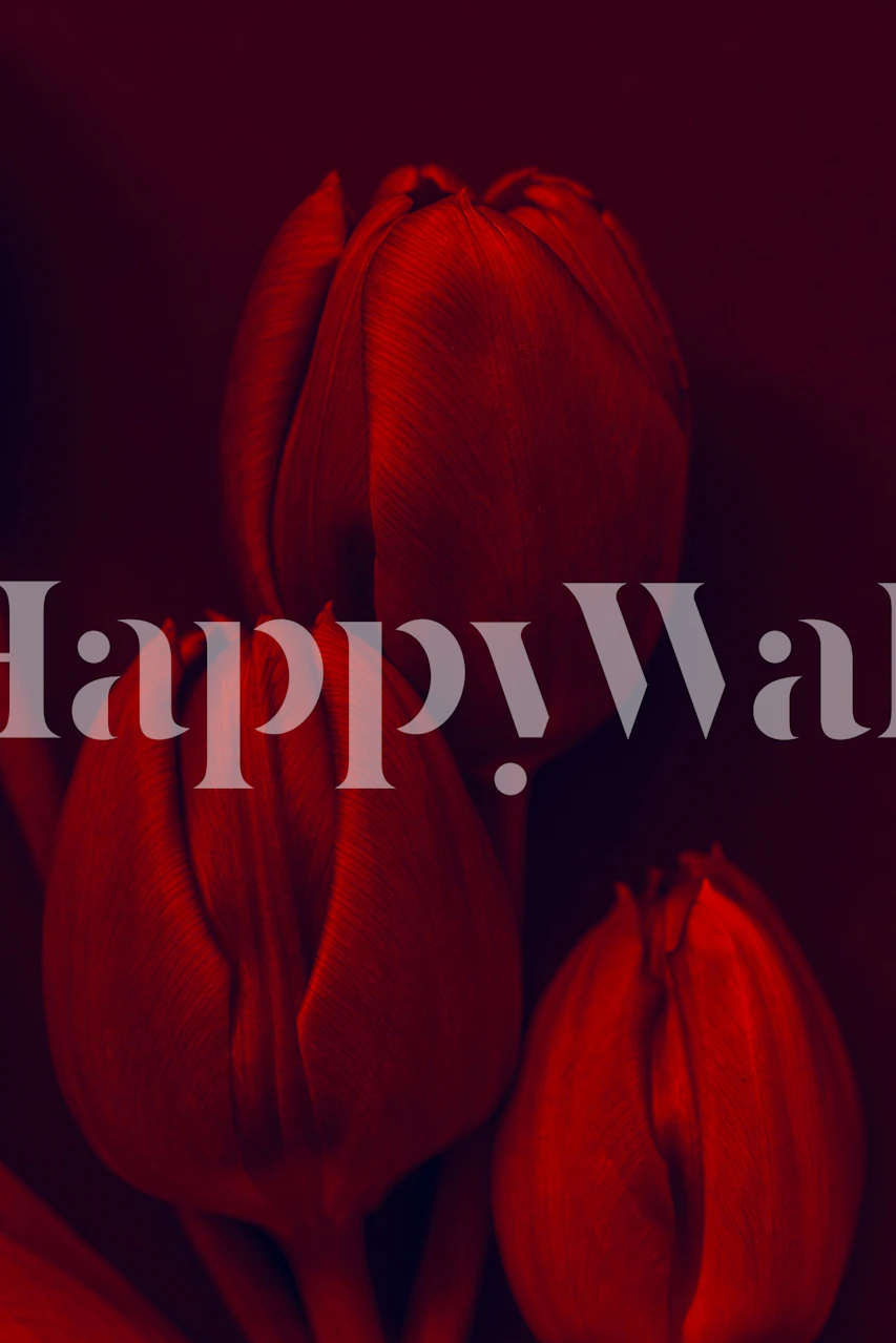 Wallpaper featuring three red tulips in a room